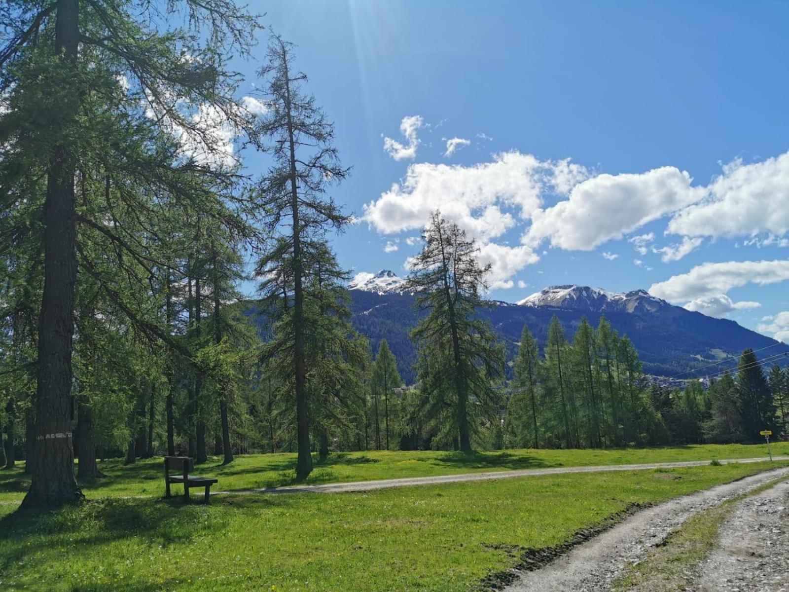 Tiroler Alpblick Appartements Έρβαλντ Εξωτερικό φωτογραφία