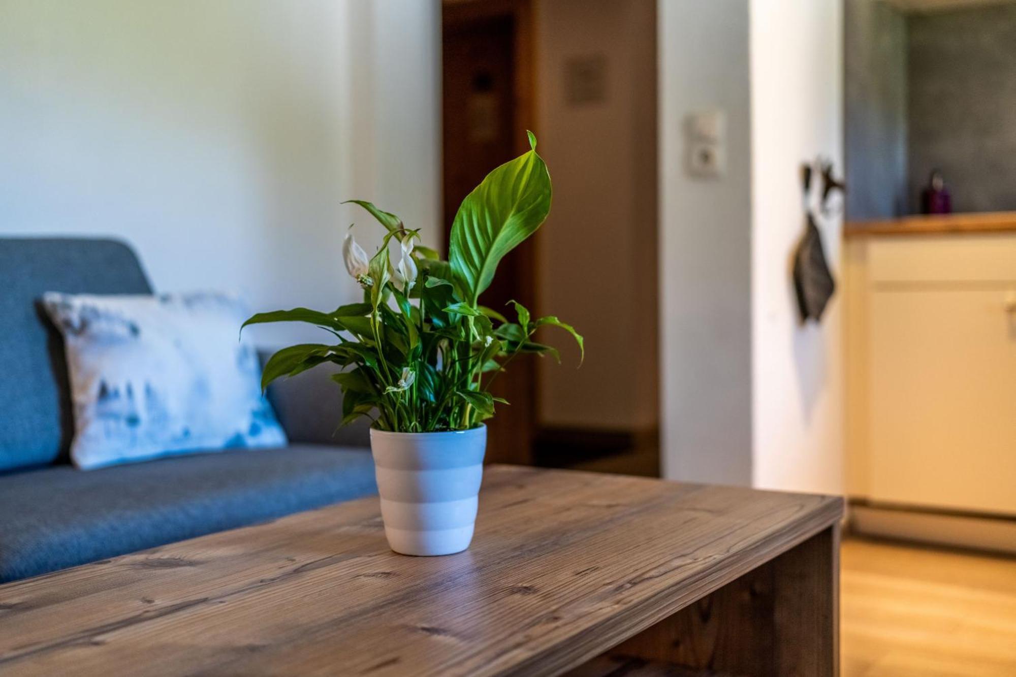 Tiroler Alpblick Appartements Έρβαλντ Εξωτερικό φωτογραφία