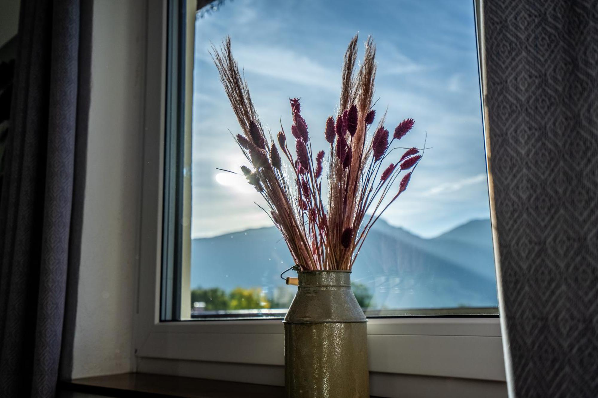 Tiroler Alpblick Appartements Έρβαλντ Εξωτερικό φωτογραφία